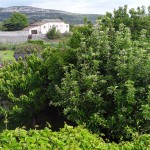 Vue de la chambre