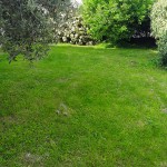 jardin 2018