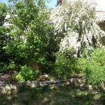 muret jardin