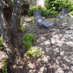sous le pommier 2018