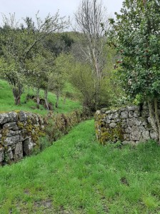 Ancien chemin de pierres sèches